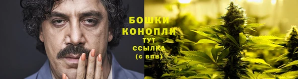 spice Алексин
