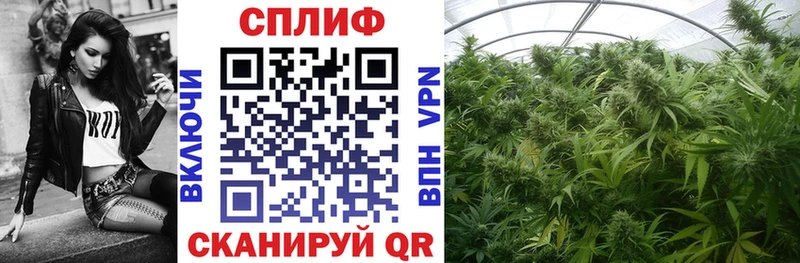 Каннабис гибрид  где купить наркоту  Анадырь 